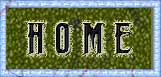 Art Zone Home Page